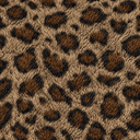 Fabric – Leopard
