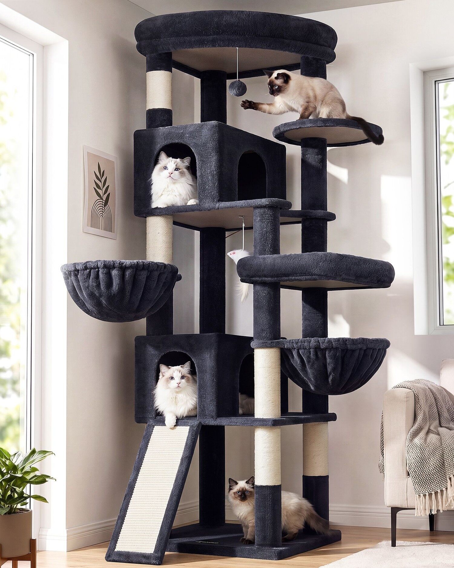 C74 Ecke Kratzbaum Für Große Katzen (Dunkelgrau, ca. 185 cm)