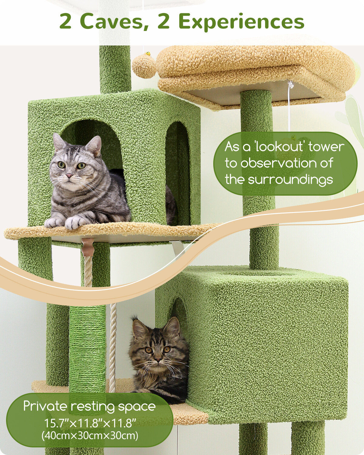 F61C Heavy Duty Cat Tree(61-inch)