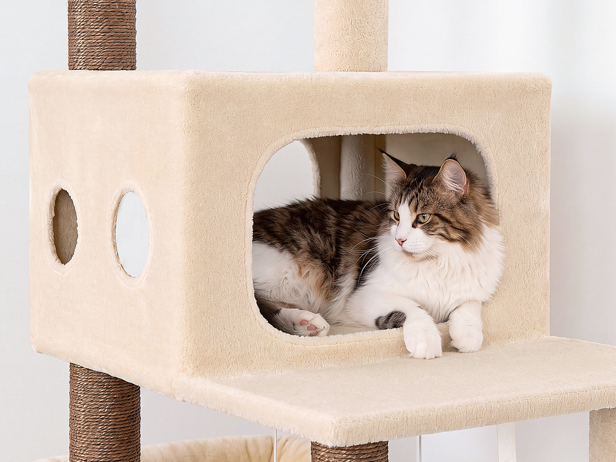 S83J Five-Post Heavy Duty Cat Tree for Large Cats (Beige, 83-inch)