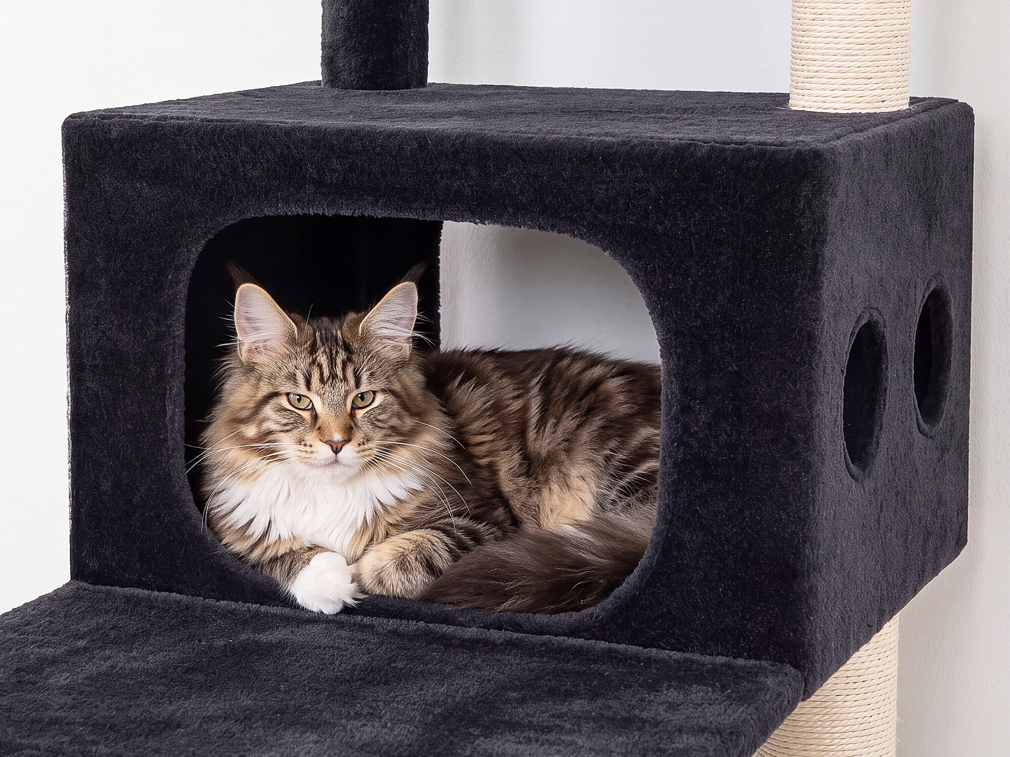 S83J Five-Post Heavy Duty Cat Tree for Large Cats (Dark Grey, 83-inch)