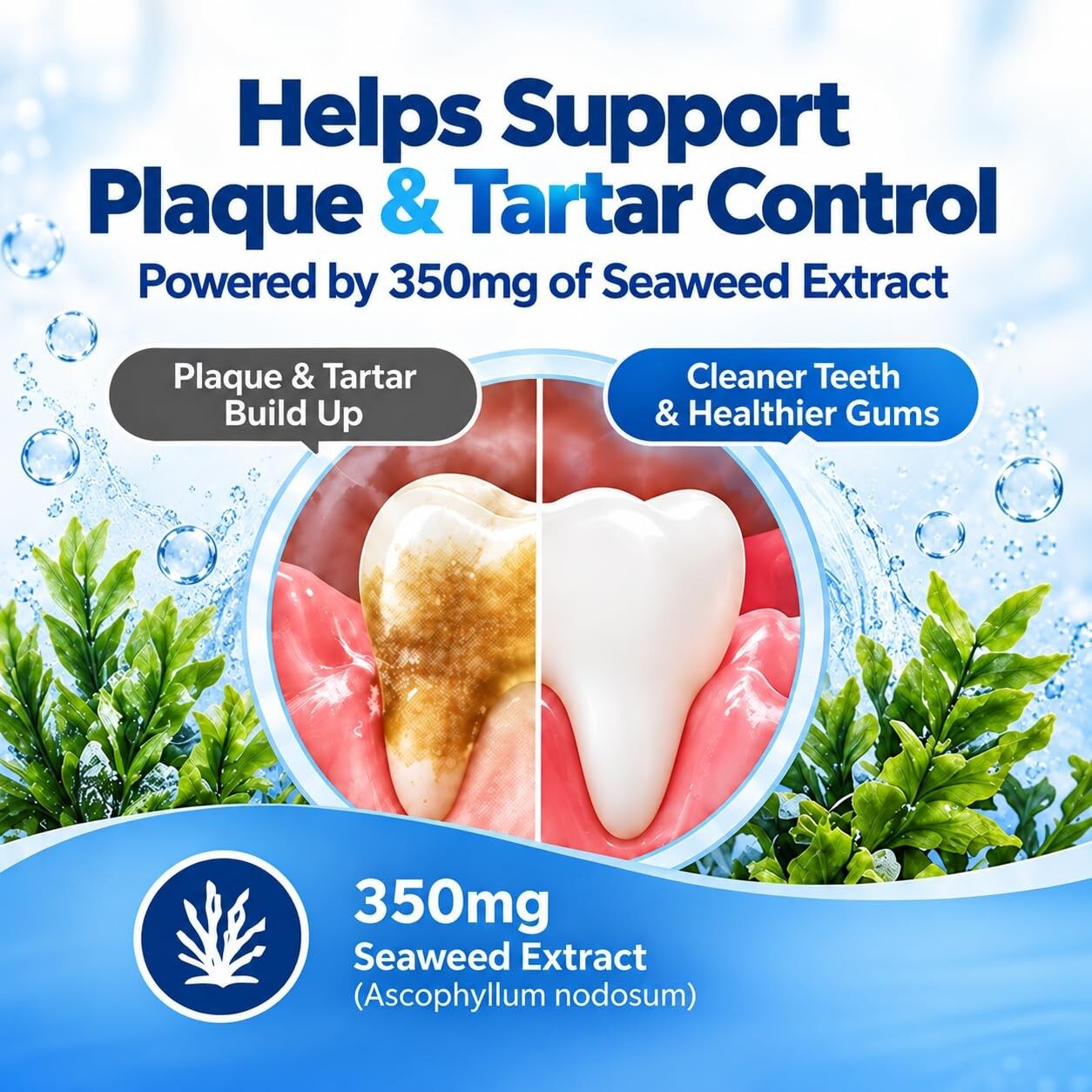 Wildaily Cat Dental Powder for Plaque & Tartar Control, Oral Microbiome Support with Seaweed Extract & Postbiotics, Fresh Breath & Healthy Gums, No Brushing Needed, 60 Single-Serve Packets
