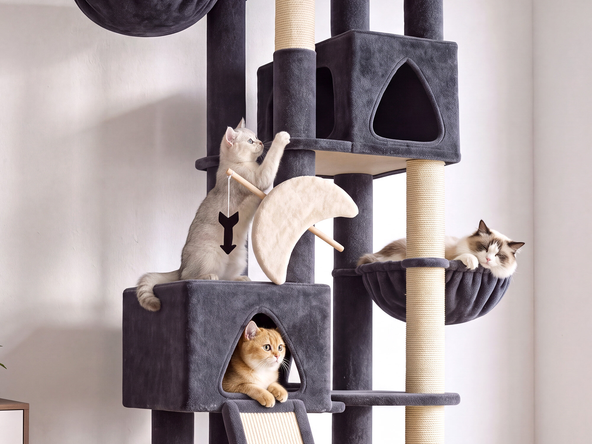 Z74 Sagittarius Tall Cat Tree for Active Cats (Dark Grey, 74-inch)