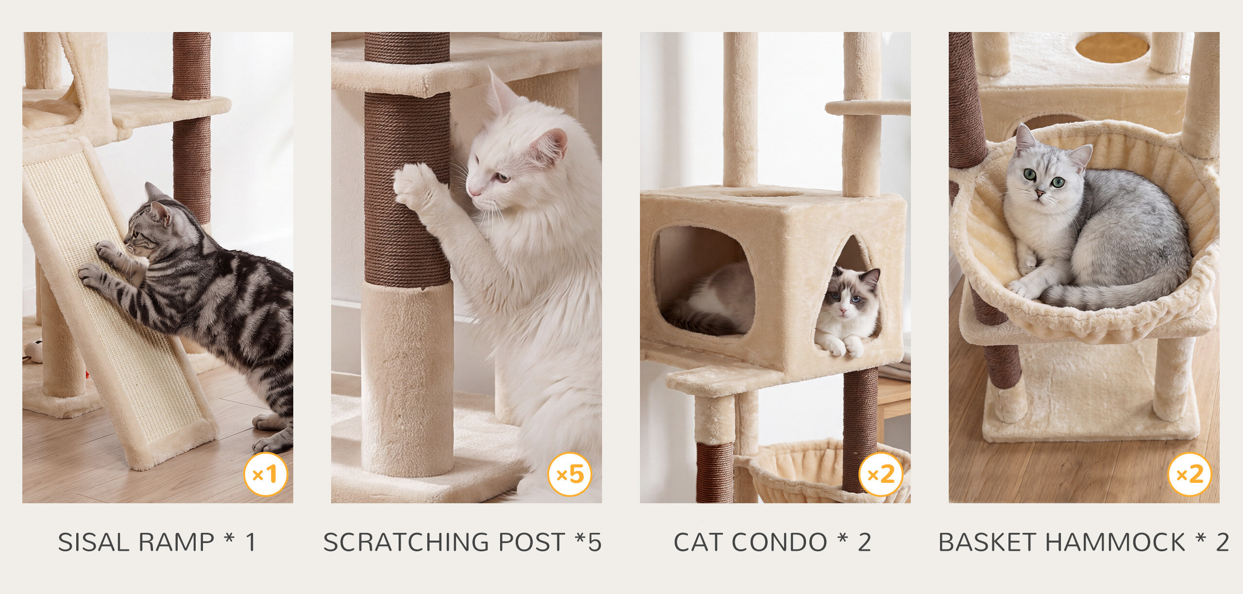 Five resting territories, so nobody waits on the floor