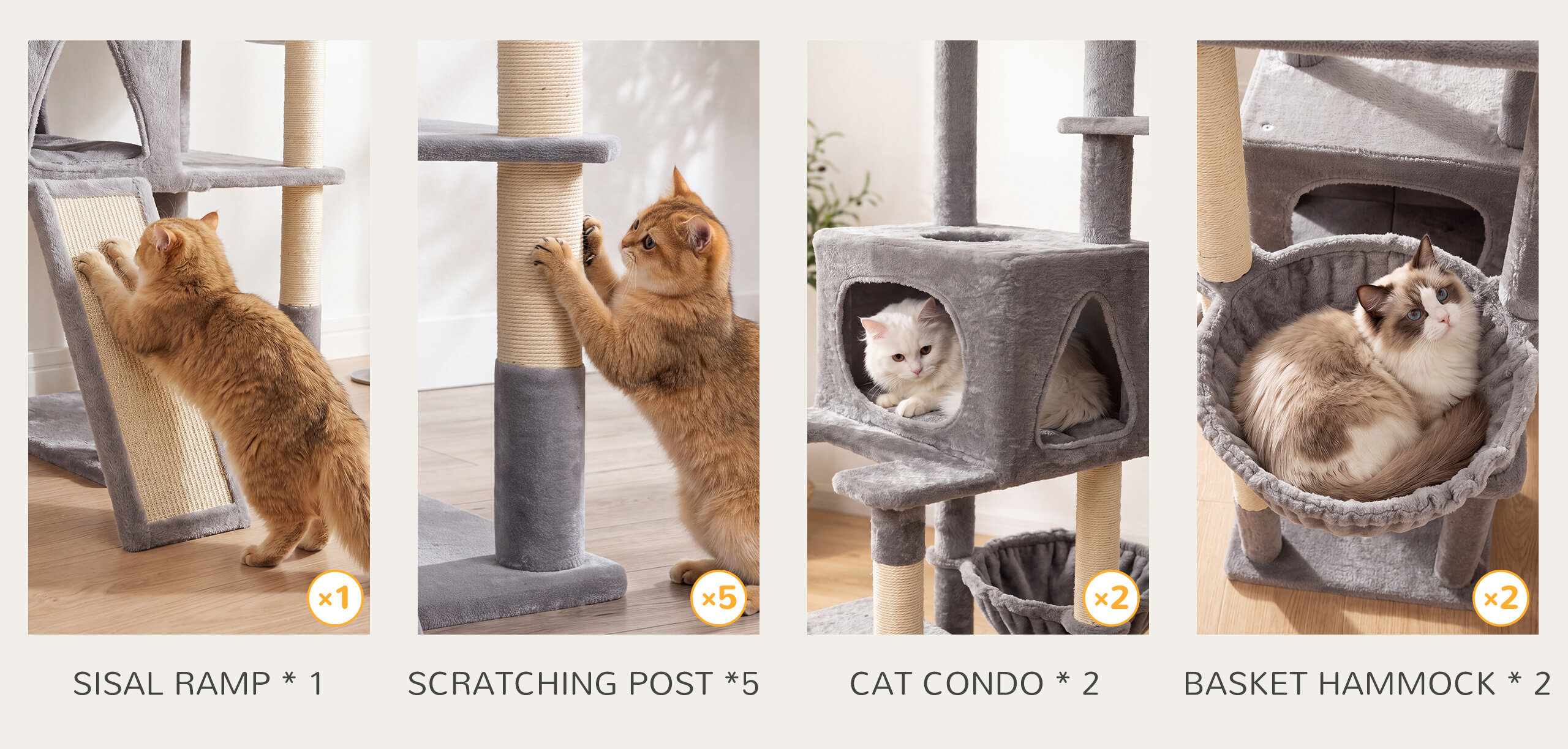 Five resting territories, so nobody waits on the floor